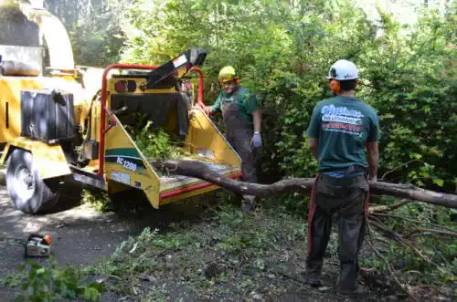 tree services Oxford Junction